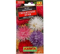 Астра АЭЛИТА Гигантские лучи, смесь окрасок однолетние, 0,2г 00-00580239