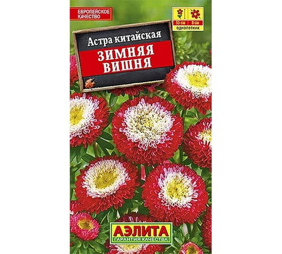 Астра АЭЛИТА Зимняя вишня помпонная Одн, 0,2г 00-00580254 1
