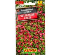 Камнеломка АЭЛИТА Цветочный ковер Мн, 0,02г 00-00590269