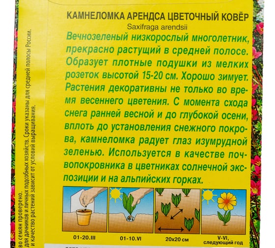 Камнеломка АЭЛИТА Цветочный ковер Мн, 0,02г 00-00590269