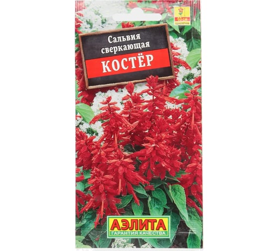 Сальвия АЭЛИТА Костер Одн, 0,1г 00-00566810 1