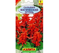 Сальвия АЭЛИТА Магический огонь Одн, 0,1г 00-00579798