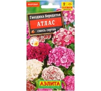 Гвоздика АЭЛИТА Атлас турецкая махровая, смесь окрасок Дв, 0,3г 00-00571193