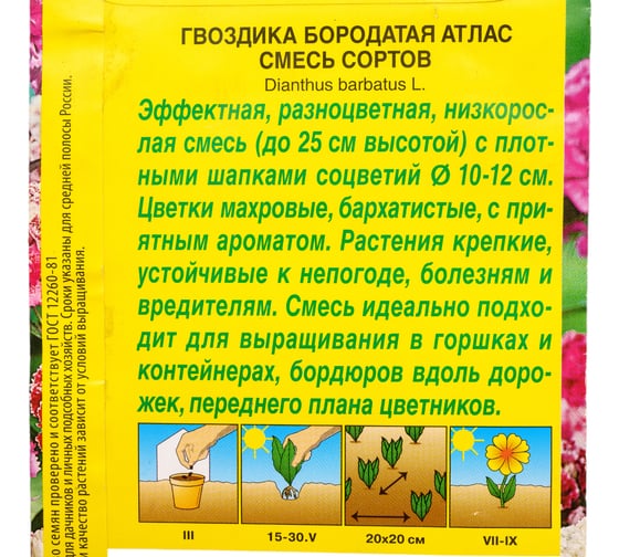 Гвоздика АЭЛИТА Атлас турецкая махровая, смесь окрасок Дв, 0,3г 00-00571193