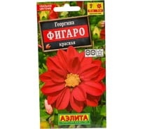 Георгина АЭЛИТА Фигаро махровая красная Одн, 7шт 00-00569927