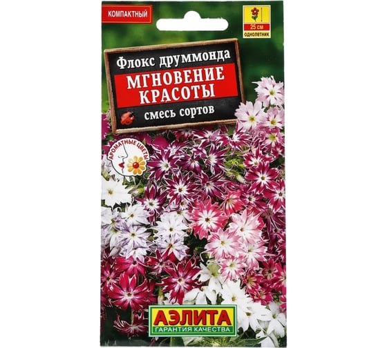 Флокс АЭЛИТА Мгновение красоты, смесь окрасок Одн, 0,1г 00-00564949 1