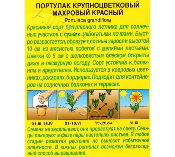 Портулак АЭЛИТА махровый красный Одн, 0,05г 00-00571694