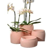 Кашпо SCHEURICH Kübel Potta matt, керамика, d18, h16.5 см, розовый матовый 069219