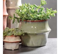 Кашпо SCHEURICH Kübel Fusali d13, h10см, зеленый 069245