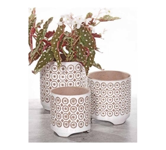 Кашпо SCHEURICH Kübel Panto sandy white glaze d16, h17см, керамика, песочно-белая глазурь 061407