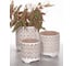 Кашпо SCHEURICH Kübel Panto sandy white glaze d16, h17см, керамика, песочно-белая глазурь 061407 1