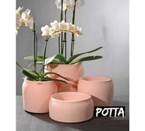 Кашпо SCHEURICH Schale Potta matt керамика, d19,5 h8 см, розовый матовый 069220