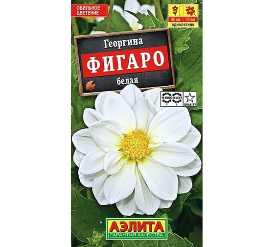 Семена АЭЛИТА Георгина Фигаро махровая белая, однолетняя, 7шт. 00-00566263 1