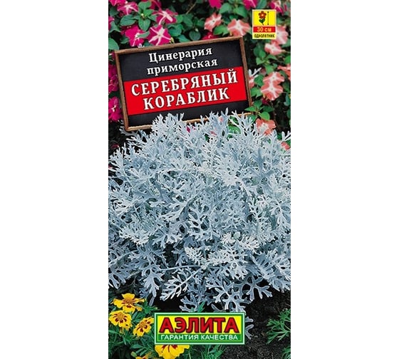 Семена АЭЛИТА Цинерария Серебряный кораблик 00-00599010 1