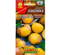 Семена АЭЛИТА Физалис Лакомка 00-00585668