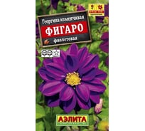 Семена АЭЛИТА Георгина Фигаро махровая фиолетовая, однолетние, 7шт 00-00573416