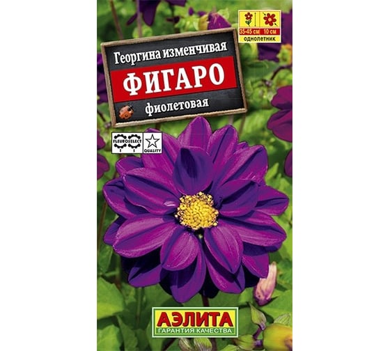 Семена АЭЛИТА Георгина Фигаро махровая фиолетовая, однолетние, 7шт 00-00573416 1