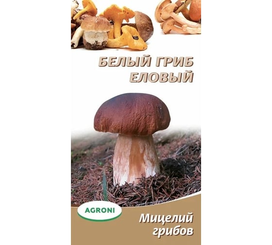 Семена Агрони Белый гриб еловый 3704 1