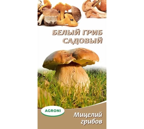 Семена Агрони Белый гриб садовый 3711 1