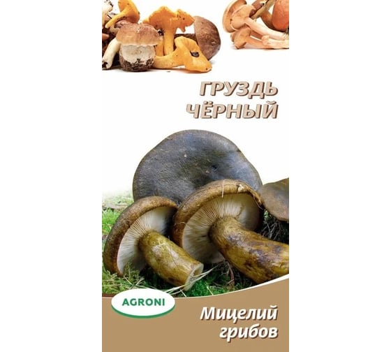 Семена Агрони Груздь черный 3728