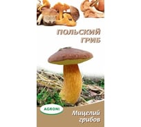 Семена Агрони Польский гриб 3780