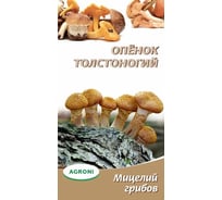 Семена Агрони Опенок толстоногий 3865