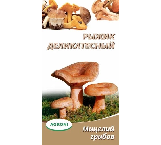 Семена Агрони Рыжик деликатесный 3797 1