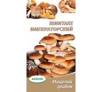 Семена Агрони Шиитаке императорский 3872