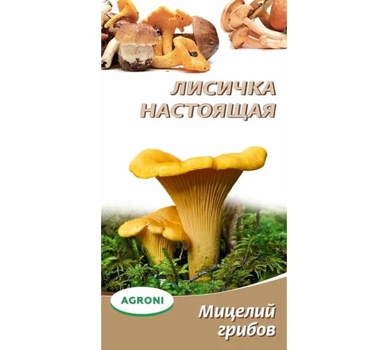 Семена Агрони Лисичка настоящая 3742