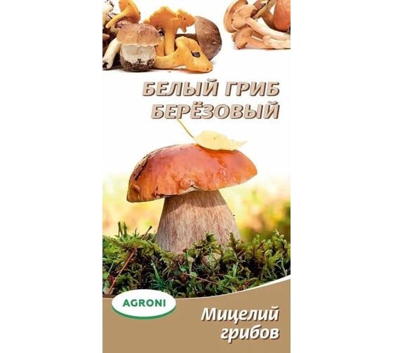 Семена Агрони Белый гриб березовый 3698