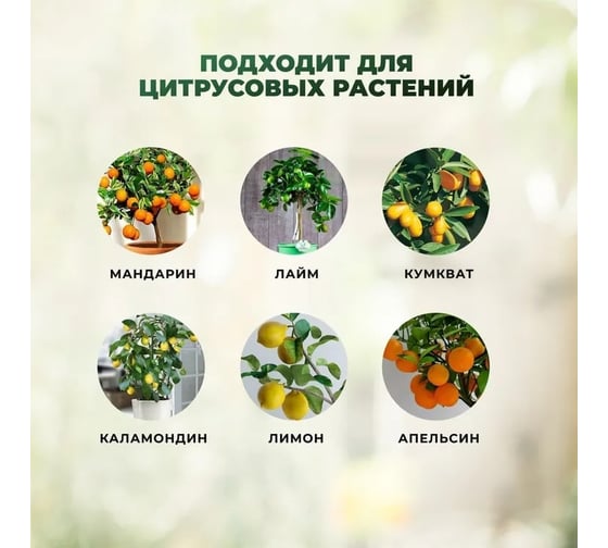 Грунт для цитрусовых Сила Суздаля 20 л 4680004069713