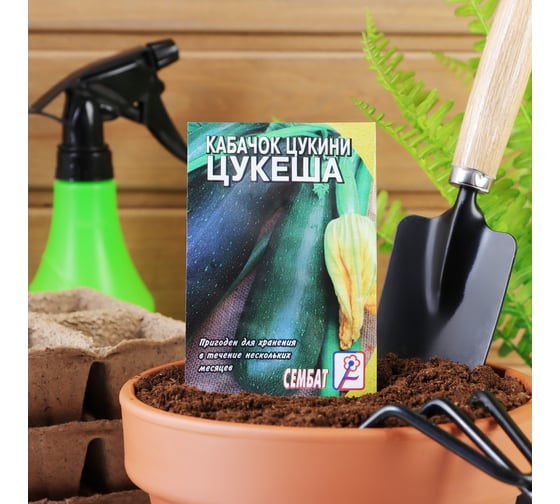 Семена АРТИКУЛ Кабачок Цукеша 2 г + евро раннеспелый 4630009391258