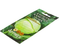 Семена АРТИКУЛ Капуста белокочанная Каменна глова 0.2 г евро + позднеспелый 4630009396581