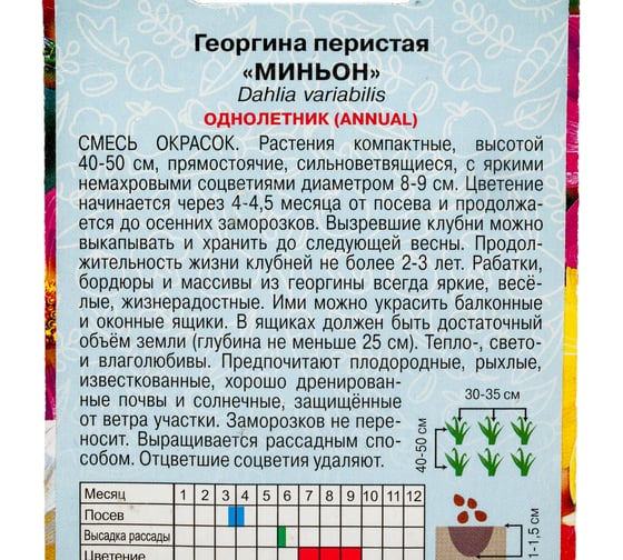 Семена АРТИКУЛ Георгина перистая Миньон 0.3 г, однолетнее, евро, смесь, h=40-50 см, d=8-9 см 4630009396734