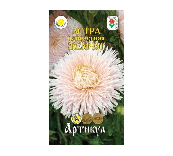 Семена АРТИКУЛ Астра однолетняя Жемчуг 0.2 г, евро, Розовидная, белая, в центре лососево-кремовая, h=50-55 см, d=8-9 см 4630009395638 1