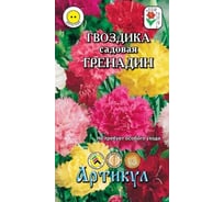 Семена АРТИКУЛ Гвоздика садовая Гренадин 0,1 г, двулетнее, евро, смесь, h=45-70 см, d=4-5 см 4607089743925