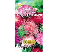 Семена АРТИКУЛ Астра однолетняя 1-е сентября 0.2 г, евро, смесь срезочных сортов, h=70-90 см 4630009396178