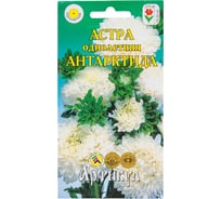 Семена АРТИКУЛ Астра однолетняя Антарктида 0.2 г, евро, Розовидная, белая, h=50-55 см, d=3-6 см 4630009396215
