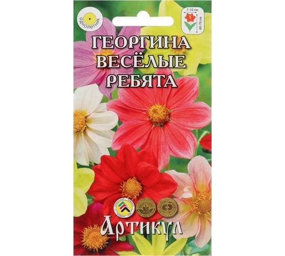 Георгина АРТИКУЛ Веселые ребята перистая, 0.3 г, однолетний, евро смесь, h=40-70 cм, d=7-10 см 4607089741495 1
