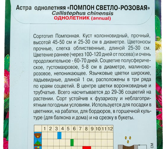 Астра АРТИКУЛ Помпон светло-розовая, однолетняя, 0.2 г, h=25-60 см, d=4-8 см  4630009395461