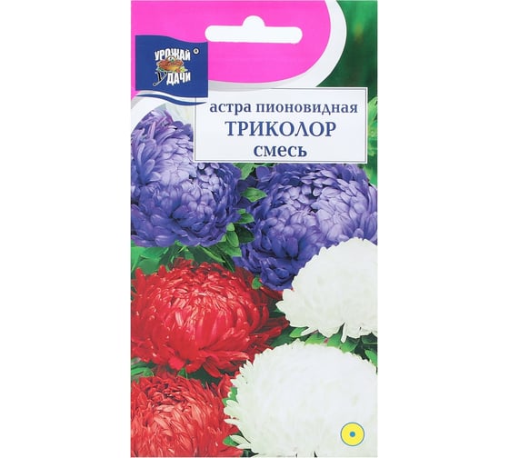 Астра АРТИКУЛ Мценский рубин однолетний, 0.2 г, евро, розовидная, рубиново-красная, h=45-50 см, d=8-9 cм 4630009396758 1