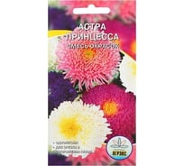 Астра АРТИКУЛ Принцесса Золушка 0.2 г, однолетняя, евро, смесь, h=60-80 см, d=9-12 см 4630009395584