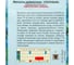 Нигелла АРТИКУЛ голубая 0.5 г, однолетний, h=30-50 см, d=3-4 см 4630009395652 2