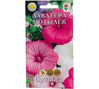 Лаватера АРТИКУЛ Мотылек Чойс 0.3 г, однолетний, евро смесь, h=100 cм, d=5-6 см 4630009393399