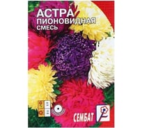 Астра АРТИКУЛ Затмение однолетняя, 0.2 г, евро пионовидная, тёмно-фиолетовая, h=50-60 см, d=8-9 см 4630009396253