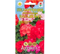 Пеларгония АРТИКУЛ Загадка F1 5 шт., многолетний, h=35 см, d=2-2.5 см, соцветия крупные 4607089748388