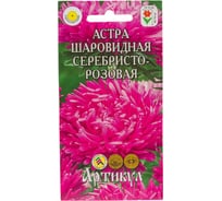 Астра АРТИКУЛ  Шаровидная Серебристо-розовая, однолетняя, 0.2 г, евро американская кустовая, h=60-70 см, d=10-11 см 4607089749460