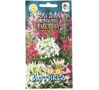 Клеома АРТИКУЛ Мерри колючая, 0.2 г, однолетний, евро смесь, h=125 см, d=15-20 см 4607089746933