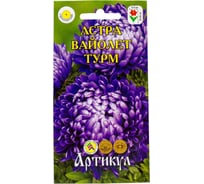 Семена АРТИКУЛ Астра однолетняя Вайолет Турм 0.2 г, Пионовидная, фиолетовая, h=50-55 см, d=6-7 см 4630009395690