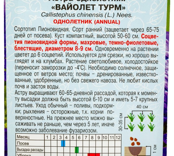 Семена АРТИКУЛ Астра однолетняя Вайолет Турм 0.2 г, Пионовидная, фиолетовая, h=50-55 см, d=6-7 см 4630009395690
